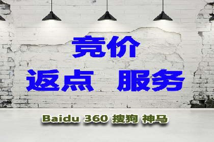 优化SEM竞价策略：成功案例剖析